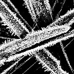 Thumbnail - Frosted leaves