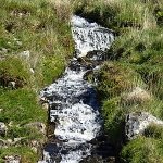 Thumbnail: Devonport Leat on Dartmoor