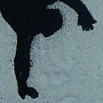 Thumbnail image of someone somersaulting