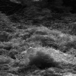 Staring at the torrent, lost in unformed thought