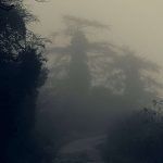 Fog thick enough to be enticing