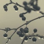 A universal saturation