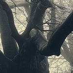 But a tree grasps regardless
