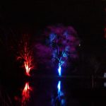Photos from a night-time garden display