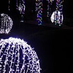Photos from a night-time garden display