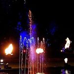 Photos from a night-time garden display