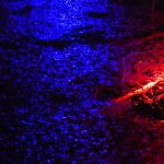 A jumble of images grabbed from a garden lit up at night
