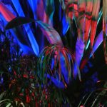 A jumble of images grabbed from a garden lit up at night