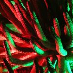 A jumble of images grabbed from a garden lit up at night