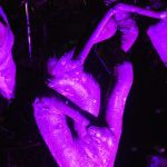 A jumble of images grabbed from a garden lit up at night