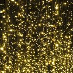 A jumble of images grabbed from a garden lit up at night