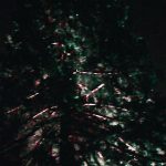 Photos of fragments - from a night-time garden display. Some blurred, some clear.