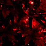Photos of fragments - from a night-time garden display. Some blurred, some clear.