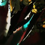 Photos of fragments - from a night-time garden display. Some blurred, some clear.